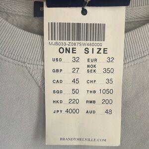 Brandy Melville Light Gray Pullover